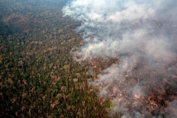 El número de incendios en Brasil hasta agosto es el mayor en 7 años - Digital Misiones