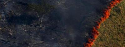 Bolsonaro sugirió que las ONG están detrás de los incendios en el Amazonas » Ñanduti