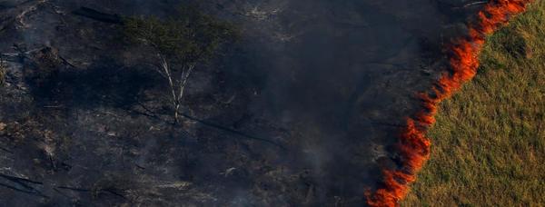 Bolsonaro sugirió que las ONG están detrás de los incendios en el Amazonas » Ñanduti