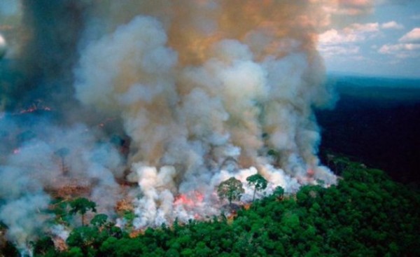 Selvas de Brasil experimentan la peor ola de incendio en cinco años