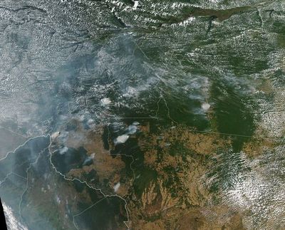 Presentan al Congreso brasileño un millón de firmas en favor de la Amazonía - Mundo - ABC Color
