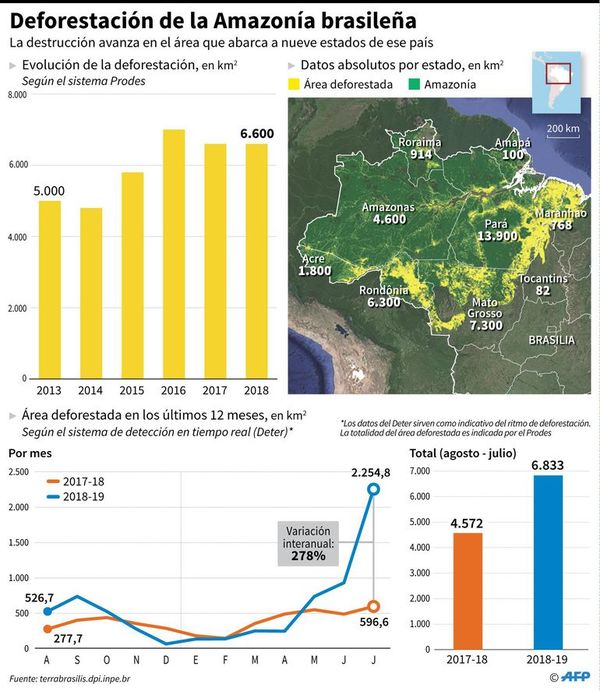 Cinco cosas a saber sobre la Amazonia - Mundo - ABC Color