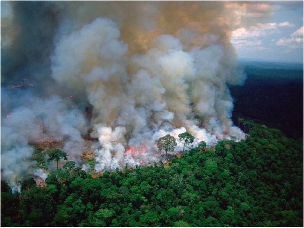 ¿Cómo nos afectará el incendio en el Amazonas?