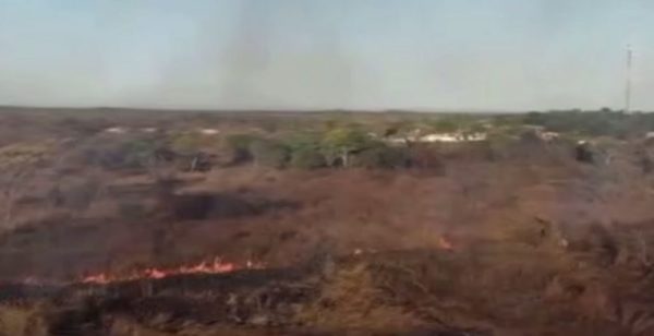 Selva amazónica en Brasil arde a velocidad récord | Noticias Paraguay