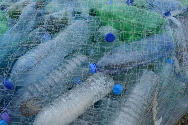 Botellas de plástico por pasajes de bus en ciudad de Guayaquil