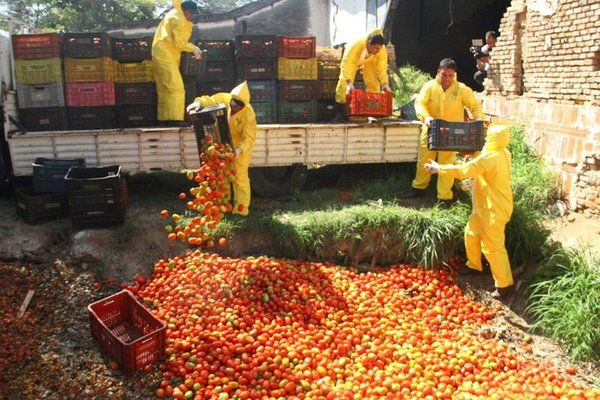 Operativo anticontrabando destruye acceso clandestino y tomates incautados » Ñanduti