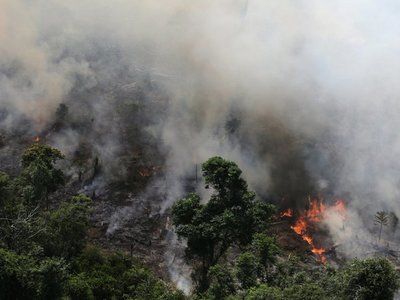 La Amazonia se quema y Bolsonaro insinúa que la culpa es de las ONG