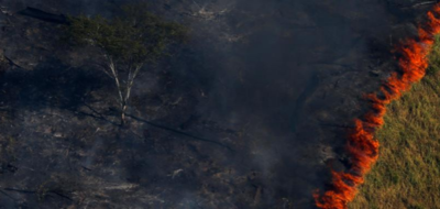 El pulmón de América tardará unos 30 años en recuperarse