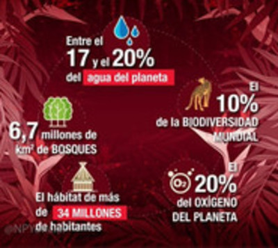 La Amazonia está ardiendo y esto es lo que está en riesgo - Paraguay.com