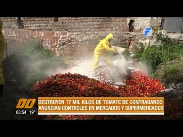 Destruyen 17 mil kilos de tomate de contrabando
