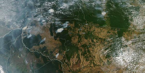 La Amazonia brasileña arde a un ritmo récord; Bolsonaro sugiere que ONG causan los incendios de forma deliberada - ADN Paraguayo