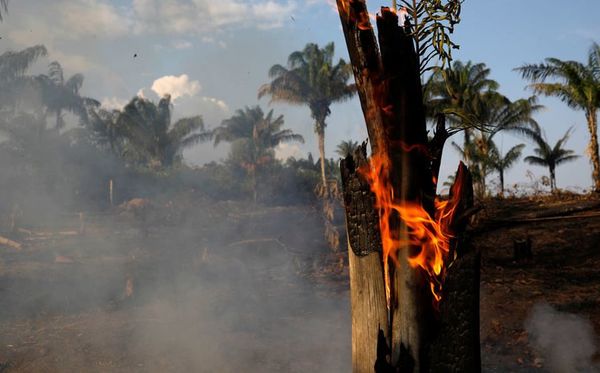 ¿Cuál es la causa de los incendios en el Amazonas?