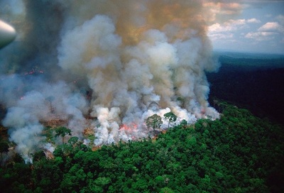 Recuperar lo perdido en el Amazonas tardará décadas, aseguran