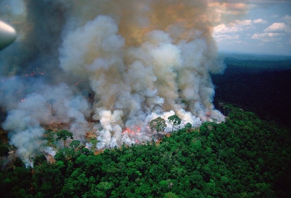 Recuperar lo perdido en el Amazonas tardará décadas, aseguran