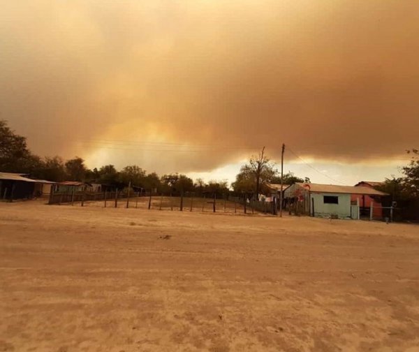 Declaran emergencia ambiental por incendio en el Pantanal Paraguayo.