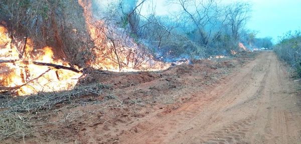 “Instituciones en alerta” por incendios forestales, según Roa - Nacionales - ABC Color