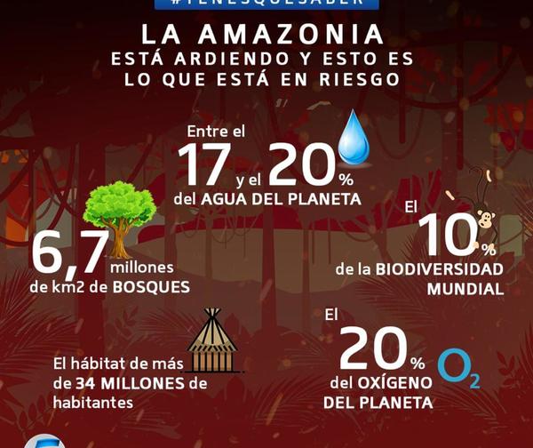 La Amazonia está ardiendo ¿Qué es lo que está en riesgo?