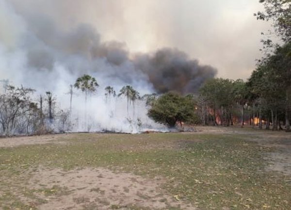Los incendios de bosques en la región traerán sus consecuencias, afirman » Ñanduti