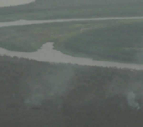 Senado sanciona declaración de emergencia ambiental a departamentos - Paraguay.com
