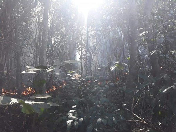 Bomberos combaten incendio forestal en Cerro León