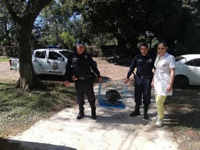 Policías rescataron a karaja de hocicos de una furiosa jauría