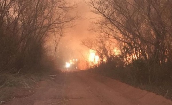 Alto Paraguay y Boquerón declarados en emergencia por senadores