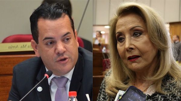 Para Latorre, Senado puede corregir juramento ilegal de legisladores mau
