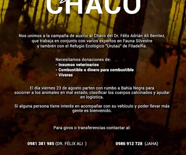 Preparan comitiva para ir a ayudar a animales en zonas incendiadas del Chaco