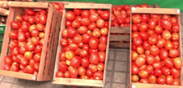 Tomateros ofrecen sus productos en plaza | Noticias Paraguay