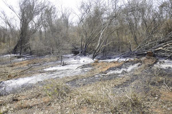 Gobierno reforzará controles para proteger al Pantanal Paraguayo de incendios forestales