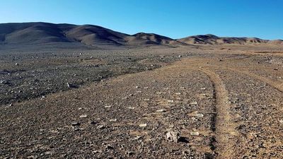 El viento que lleva vida a Atacama - Mundo - ABC Color