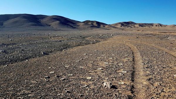 El viento que lleva vida a Atacama - Mundo - ABC Color