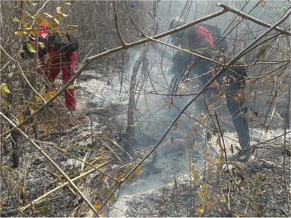 Más de 700.000 hectáreas y 1.817 familias afectadas por incendios en Bolivia