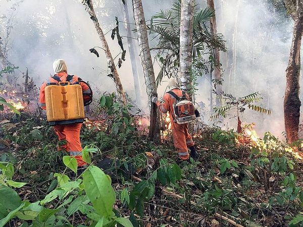 Bolivia urge a Paraguay y Brasil a frenar incendios forestales - Mundo - ABC Color