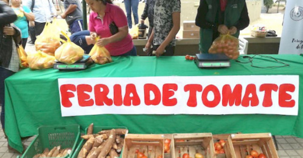 Tomates a 3 mil’i ojagarrapa en la capital del país