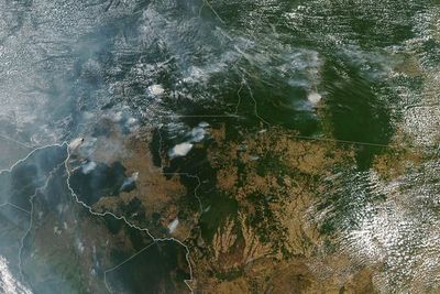 ONU urge a Brasil proteger la Amazonia arrasada por fuego