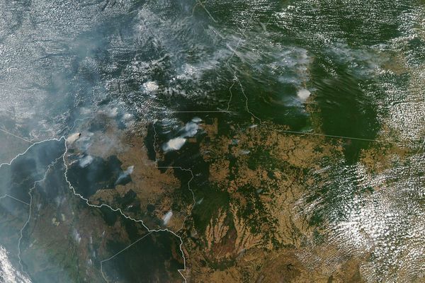 ONU urge a Brasil proteger la Amazonia arrasada por fuego