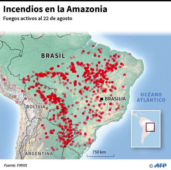 Bolivia no logra extinguir incendios, y podrían afectar a suelo paraguayo - Internacionales - ABC Color