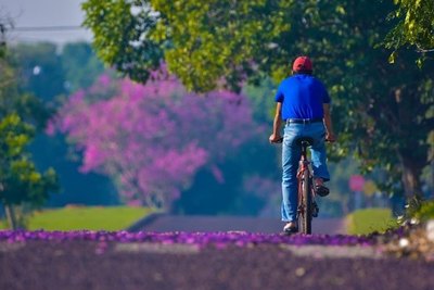 Anuncian un viernes cálido y con baja probabilidad de lluvias - Digital Misiones