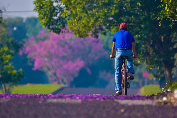 Anuncian un viernes cálido y con baja probabilidad de lluvias - Digital Misiones