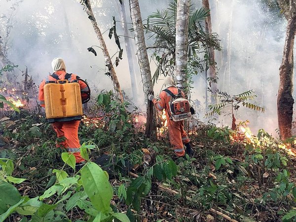 Ecuador ofrece ayuda a Brasil para lucha contra incendios en Amazonía