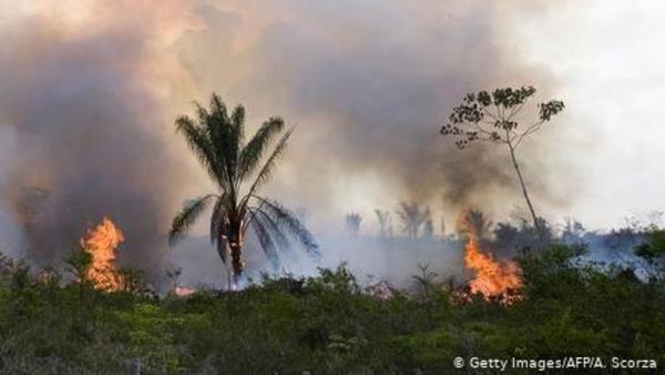 Incendios en el Amazonas: Irlanda amenaza al acuerdo UE-Mercosur y Merkel pide llevar el tema al G-7 | .::Agencia IP::.