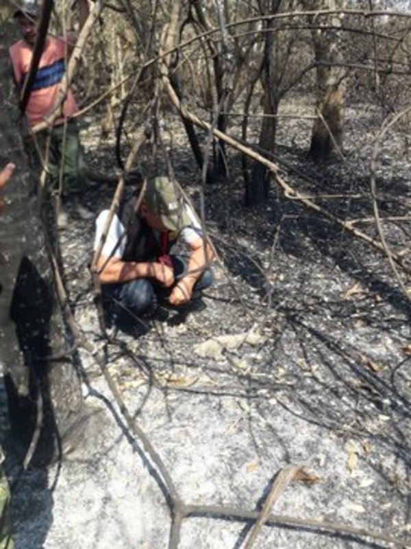 Ministerio del Ambiente monitorea zona del incendio y proyecta rescate de animales silvestres - .::RADIO NACIONAL::.