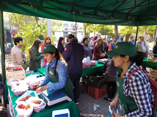 MAG prosigue con ferias de tomate, frutilla y mandioca este fin de semana | .::Agencia IP::.