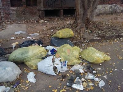Recolectan basuras y las dejan en baldíos - Crónicas Ciudadanas - ABC Color