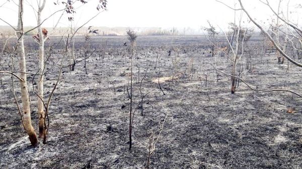 Tras una semana de incendios, planean gran operativo para el Chaco - Nacionales - ABC Color