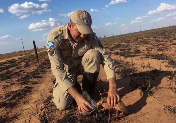 Bolsonaro, bajo presión mundial, evalúa desplegar militares para controlar incendios en la Amazonía