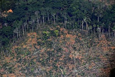 Bolsonaro, bajo presión mundial, evalúa enviar militares para controlar incendios en la Amazonía