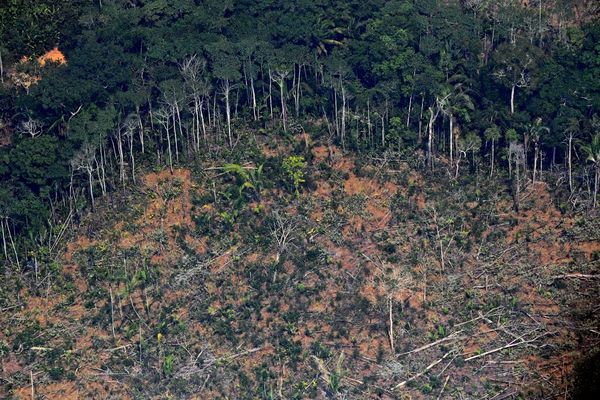 Bolsonaro, bajo presión mundial, evalúa enviar militares para controlar incendios en la Amazonía