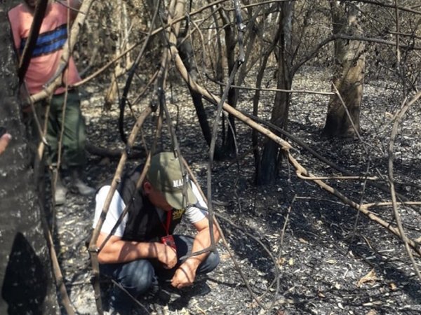 Ya no hay focos de incendio en la zona de Bahía Negra